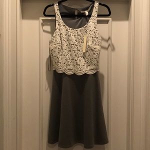LC Lauren Conrad Gray and White Lace Dress